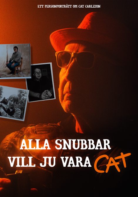Filmposter för Alla snubbar vill ju vara Cat